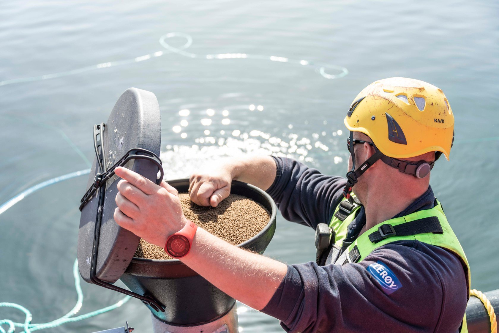 Employee at sea feeds the fish