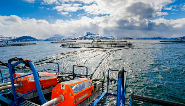 Fish cages in the sea