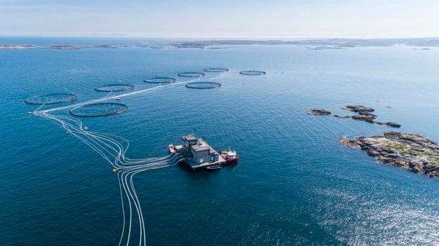 Aquaculture facility in the sea.