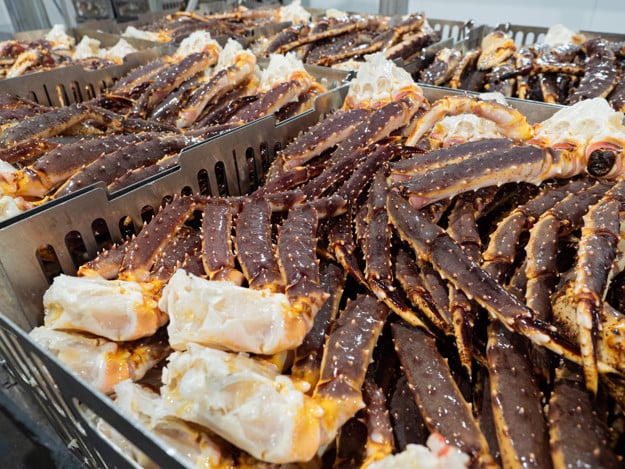 King crabs in boxes at the factory