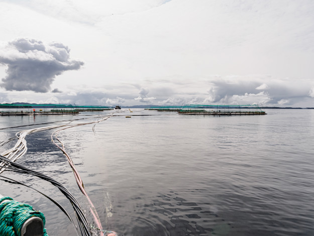 Sea with rings in the water. 