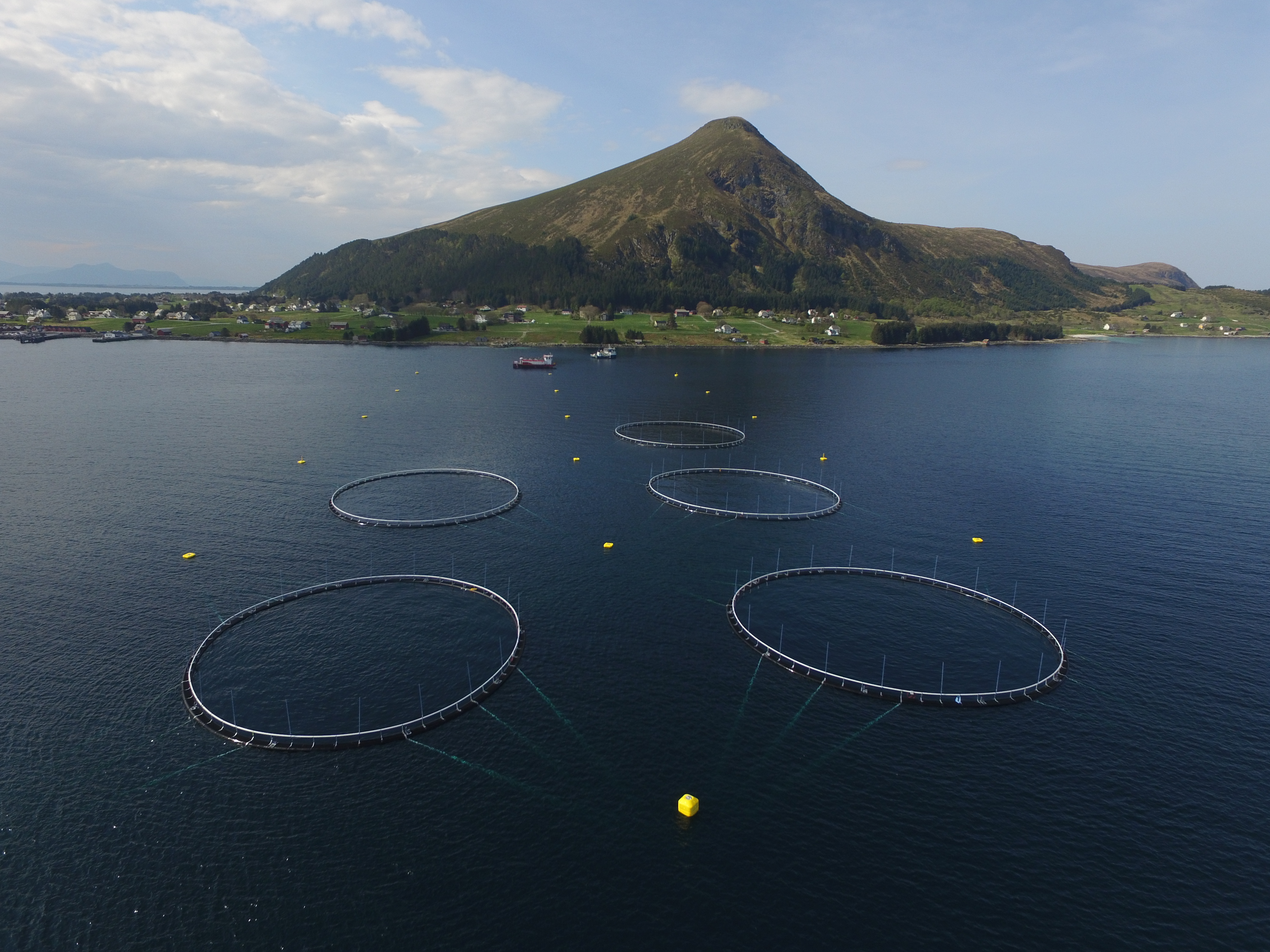A landscape where we see several rings in the ocean. In the center top we see a mountain top. 