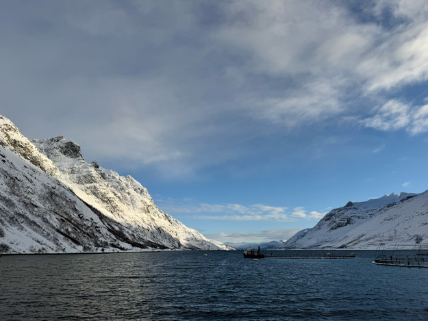 utsikt over merder med fjell rundt. 